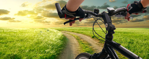 Bicycling Travel Experiences