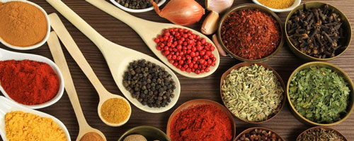 India Cuisine vacation Enjoy the cuisine of India on vacation