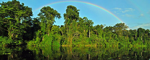 Visit the Amazon of Peru on vacation