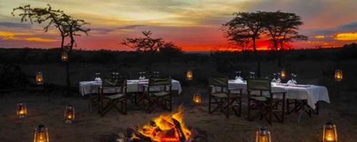Enjoy a Safari dinner in the bush