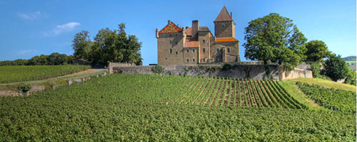 Enjoy a fully custom wine tour of the vineyards and wineries of France